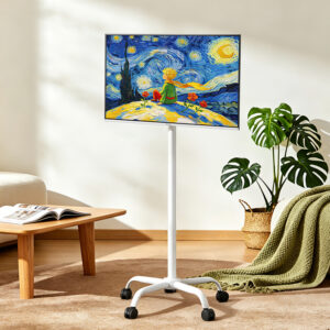 H5 Portable TV